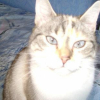 Photo de Mimine