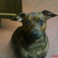 Photo de profil de Titi