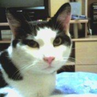 Photo de profil de Théo