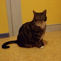 Photo de profil de Chachou