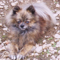 Photo de profil de Betty