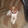 Photo de Sanka