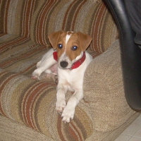 Photo de profil de Sanka