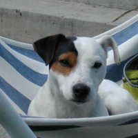 Photo de profil de Alf