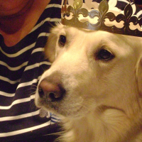 Photo de profil de Canaille