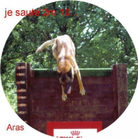Photo de profil de Urpton