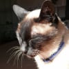 Photo de Filou