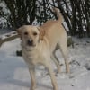 Photo de Diiezel