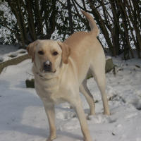 Photo de profil de Diiezel