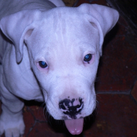 Photo de profil de Byron