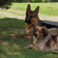 Photo de profil de Scoopy