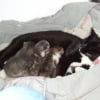 Photo de Lola