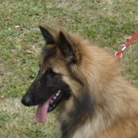 Photo de profil de Efira