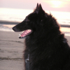 Photo de Louna
