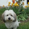 Photo de Cidjey