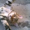 Photo de Dewey