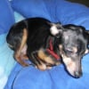 Photo de Nita