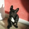 Photo de Stan