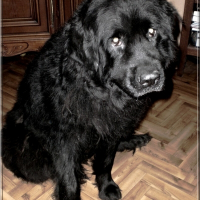 Photo de profil de Prune