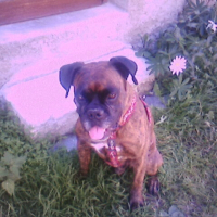Photo de profil de Pitt