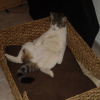 Photo de Turquoise
