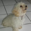 Photo de Lilie