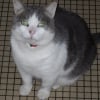 Photo de Moumine