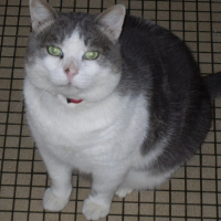 Photo de profil de Moumine
