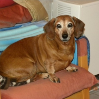 Photo de profil de Folette