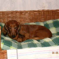 Photo de profil de Bella