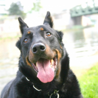 Photo de profil de Randa