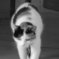 Photo de profil de Caline