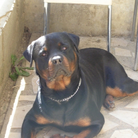 Photo de profil de Vince