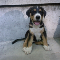 Photo de profil de Chanel