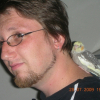 Photo de Kiwi