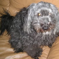 Photo de profil de Lola