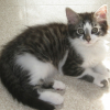 Photo de Caramel