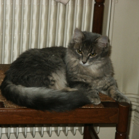 Photo de profil de Cleo