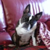 Photo de Ronie