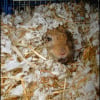 Photo de Belle