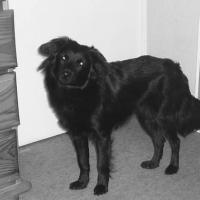 Photo de profil de Ciela