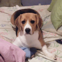 Photo de profil de Cannelle