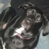 Photo de Belley