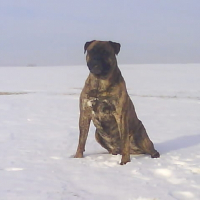 Photo de profil de Algo