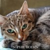 Photo de Spike