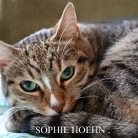 Photo de profil de Spike