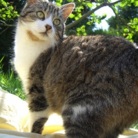 Photo de profil de La tite minie