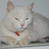 Photo de Lola