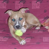 Photo de profil de Easy