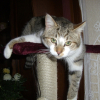 Photo de Mininew